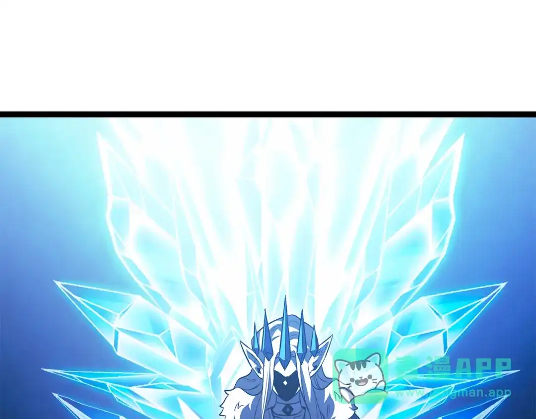 第246页