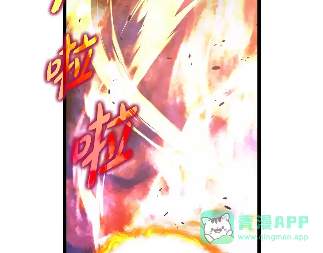 第216页