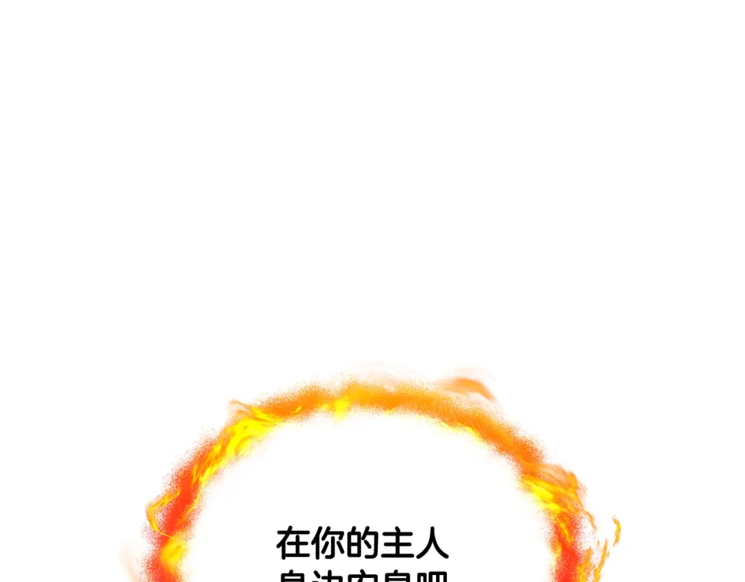 第238页