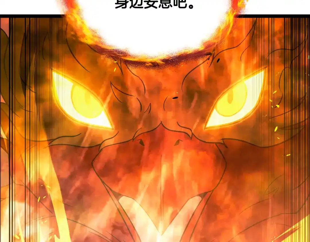 第239页