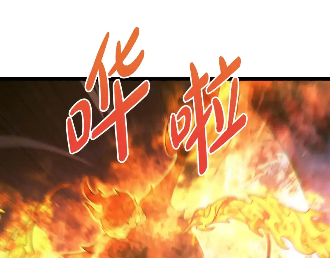 第242页