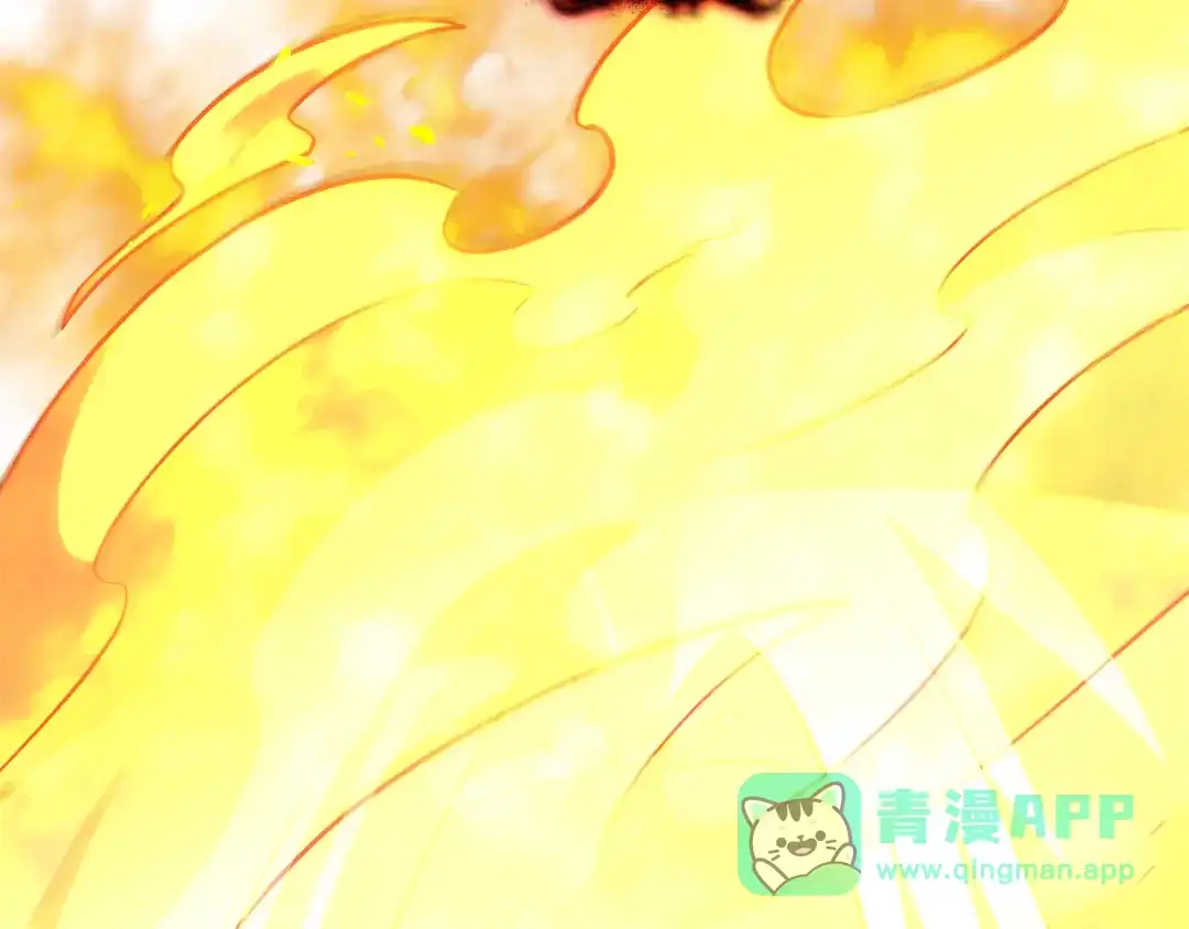第261页