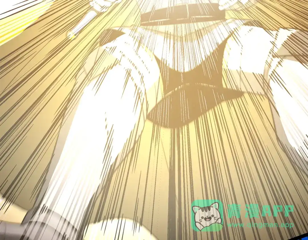 第196页