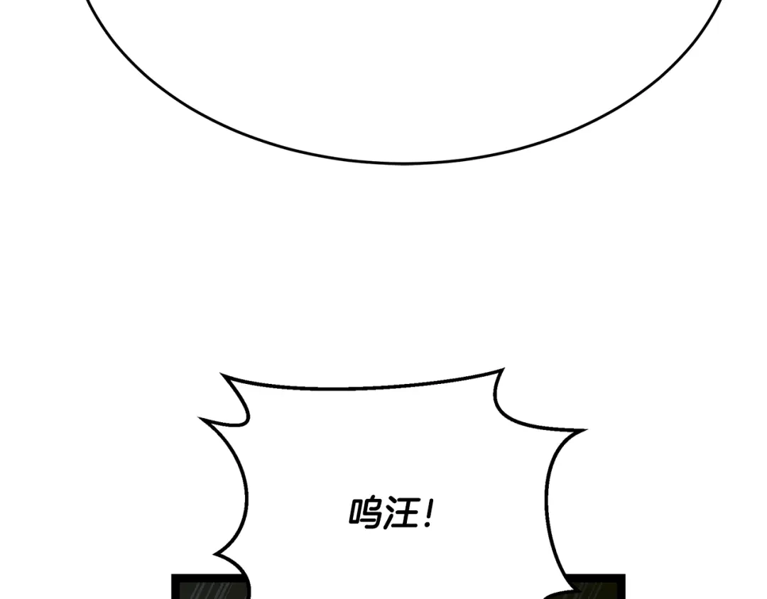 第251页