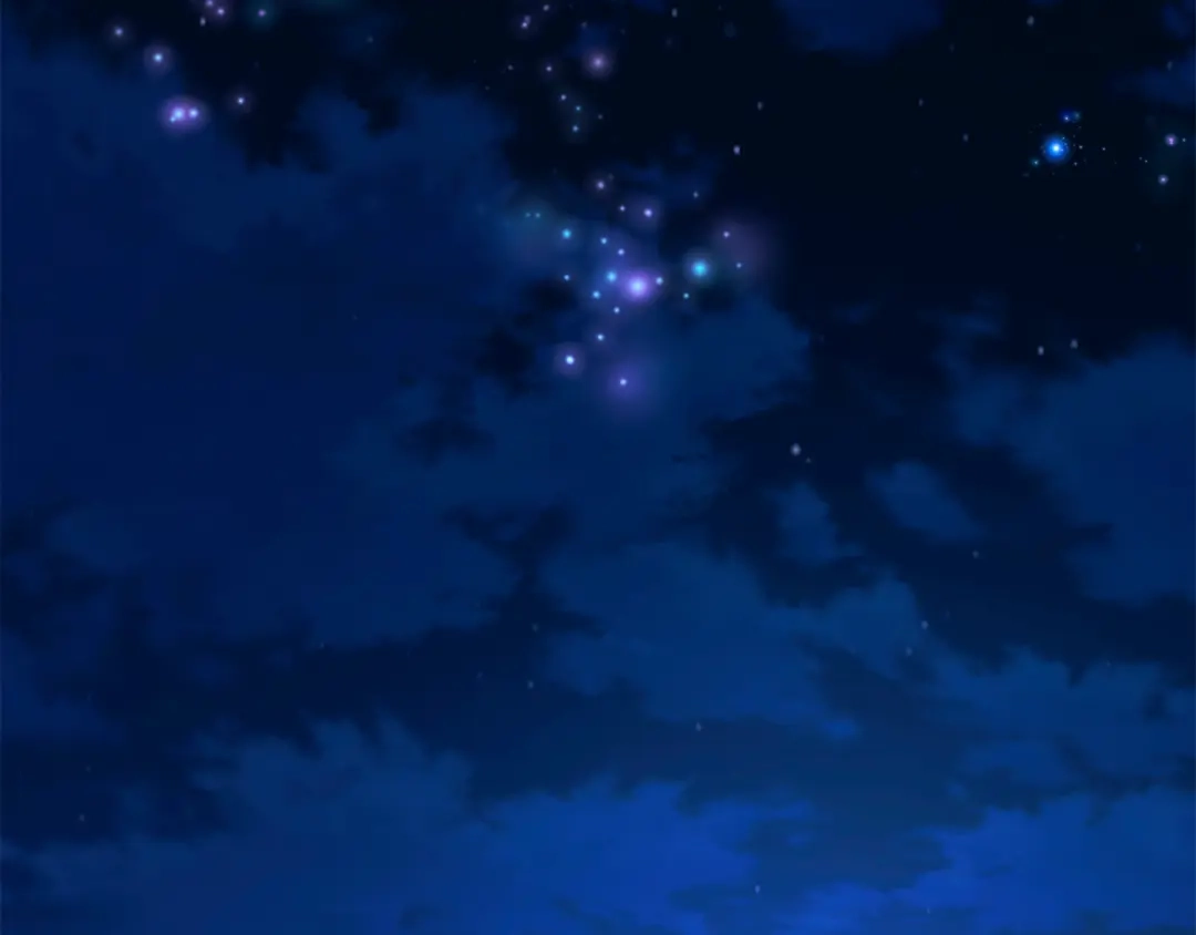 第248页