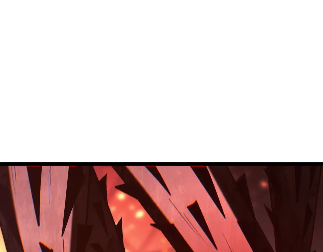 第255页