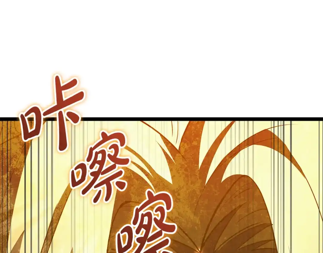 第218页
