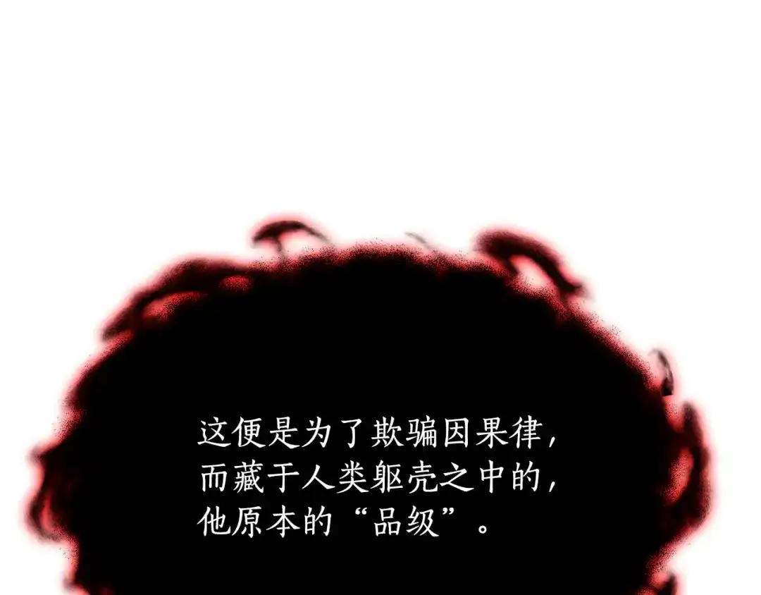 第233页