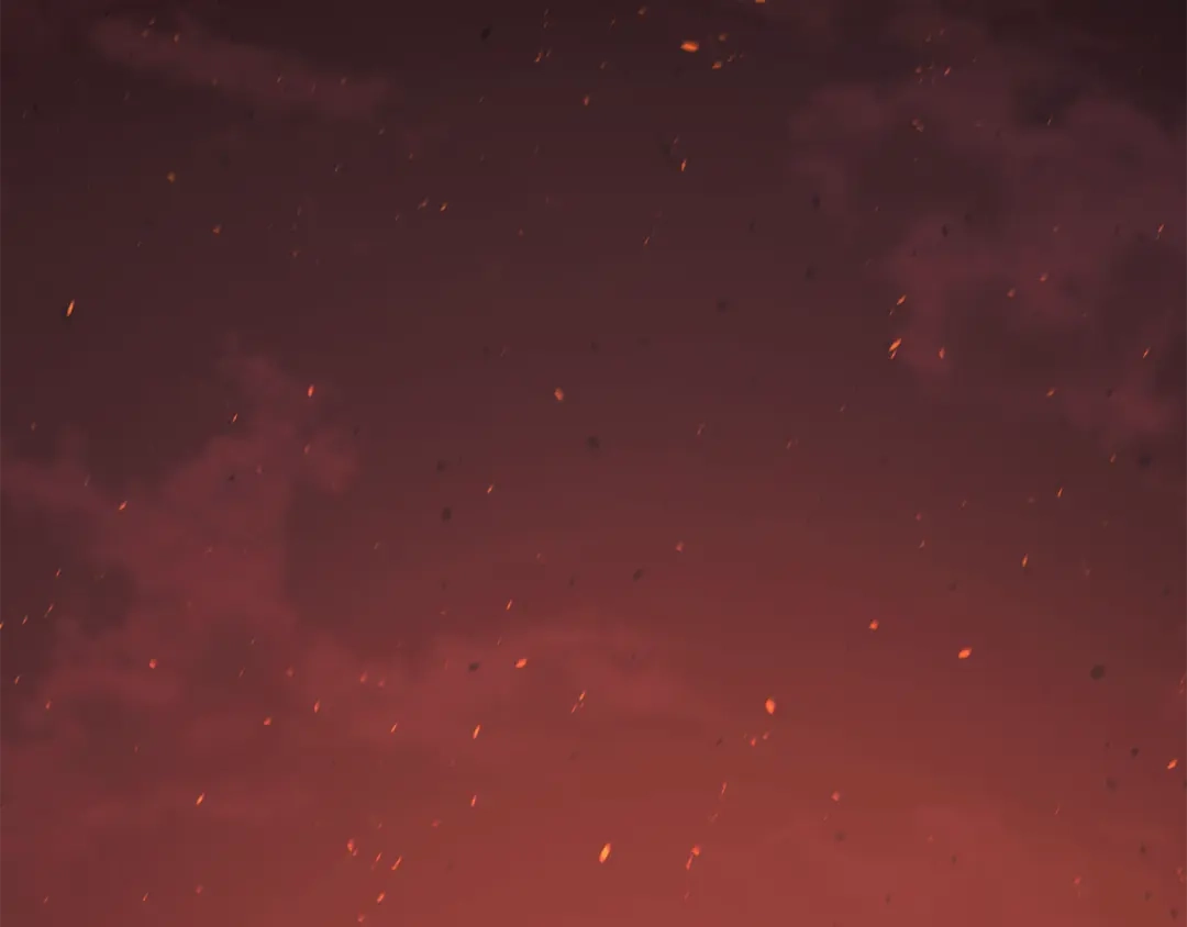 第211页