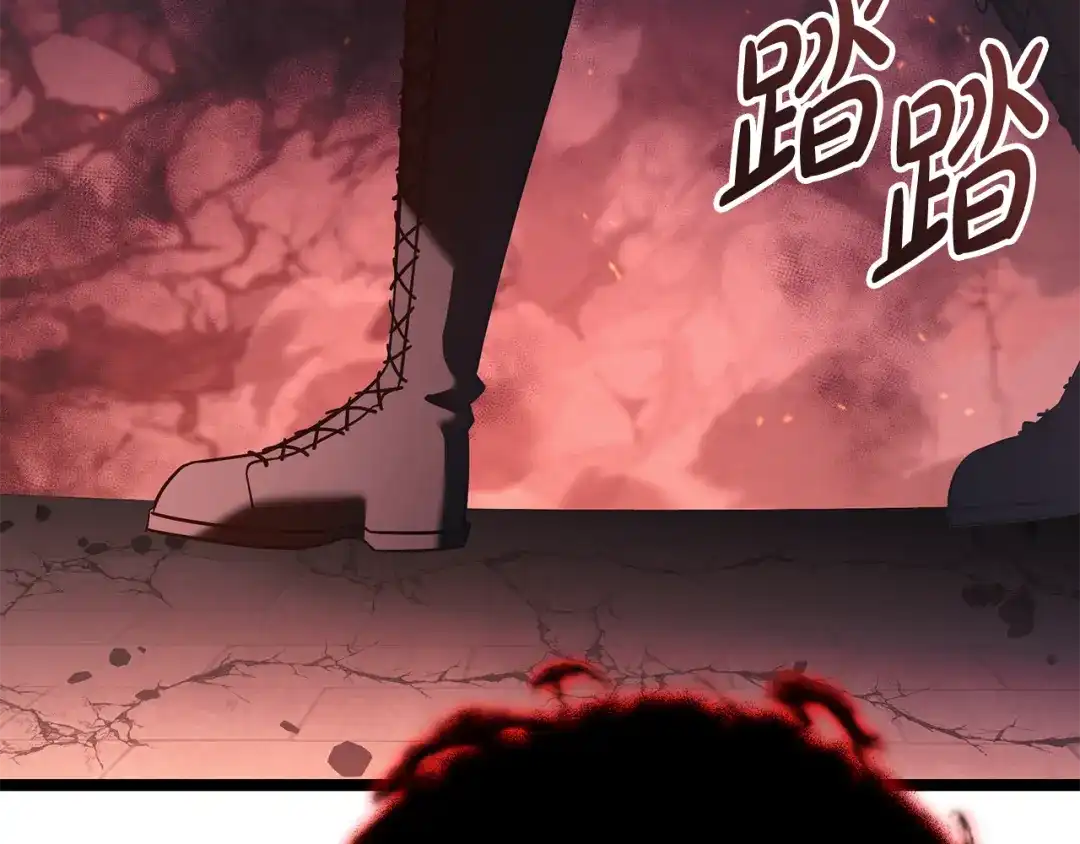 第207页