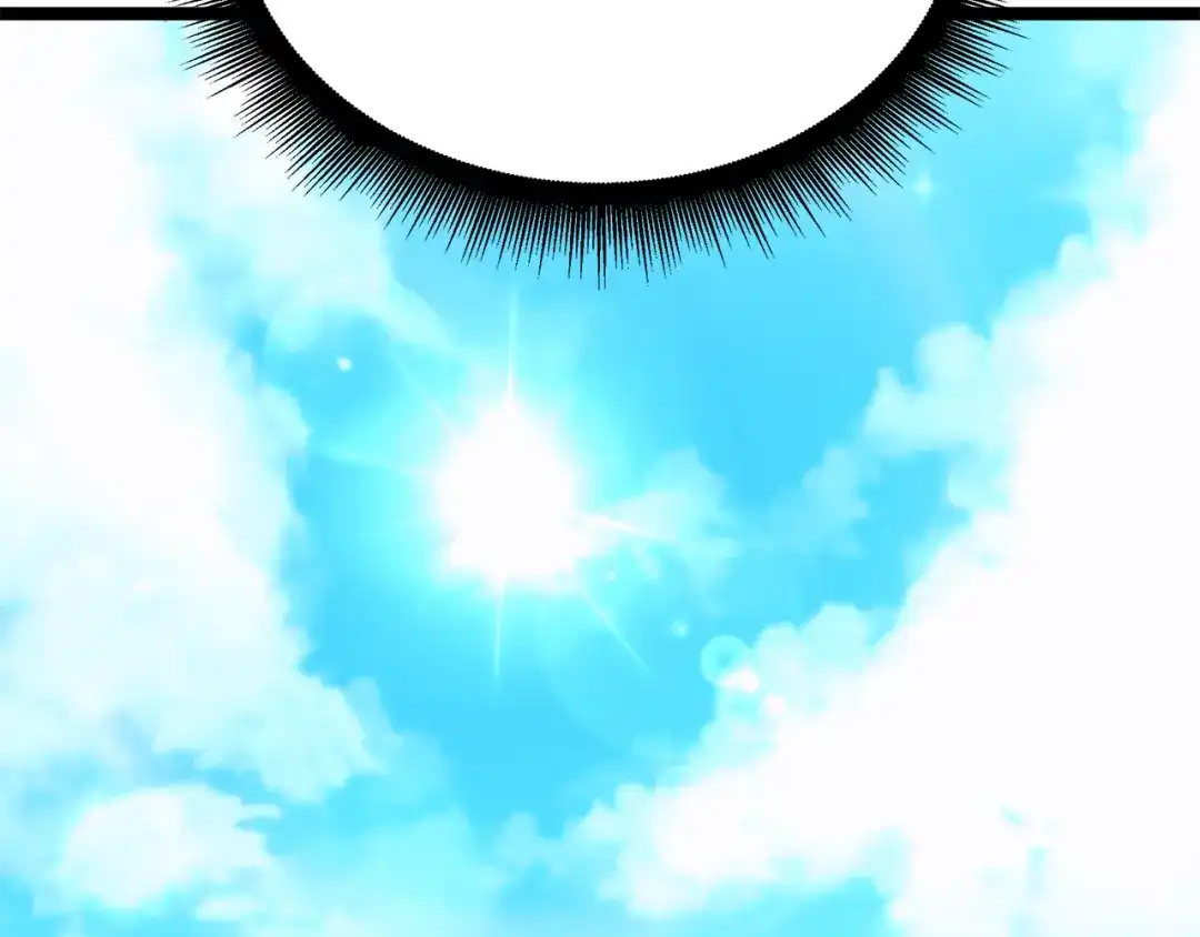 第217页