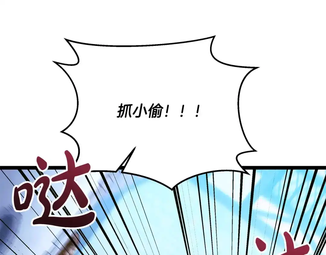 第223页