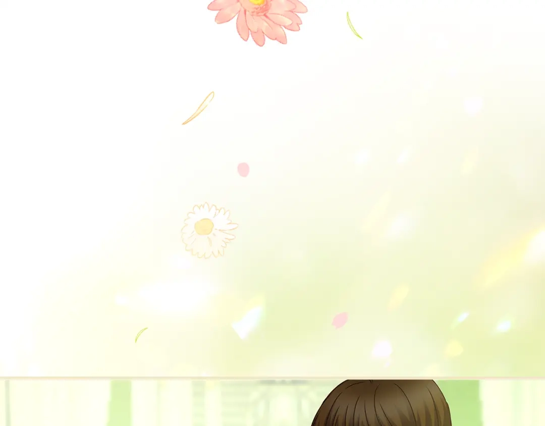 第215页