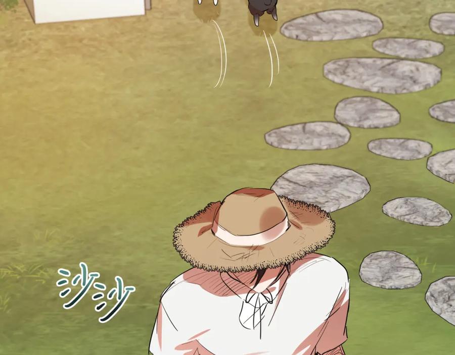 第204页