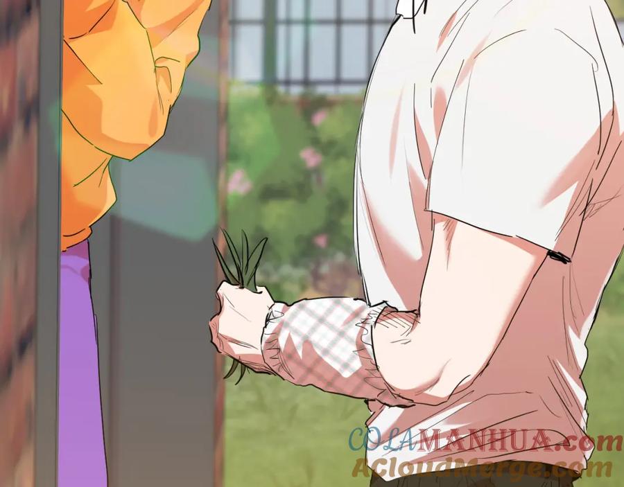 第213页