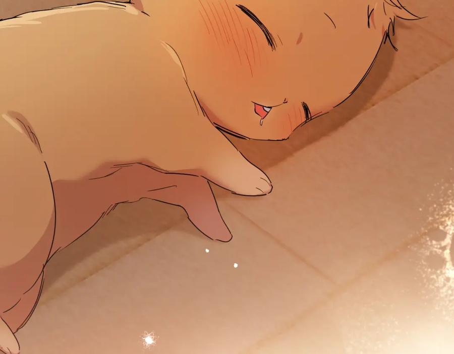 第219页