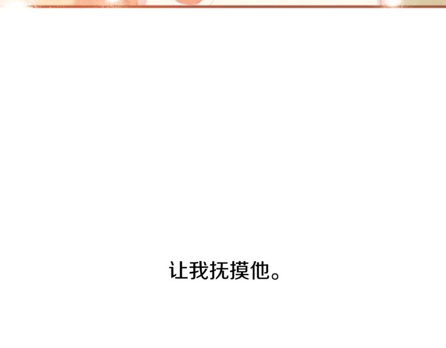 第223页
