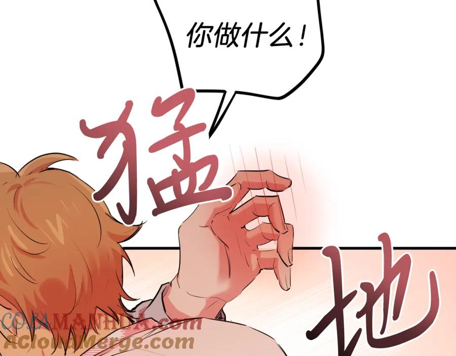 第213页