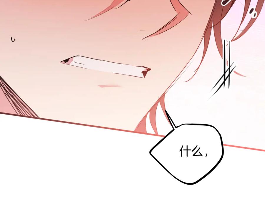 第223页