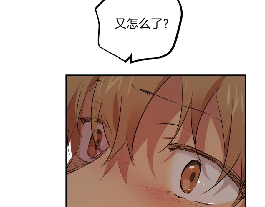 第246页
