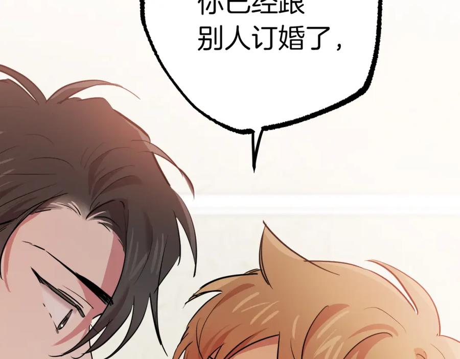 第250页