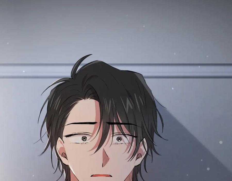 第204页