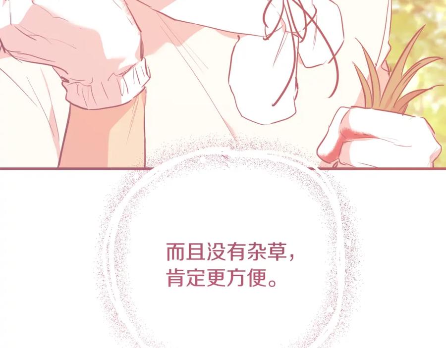 第236页