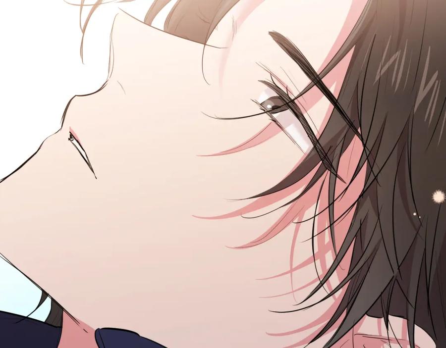 第238页