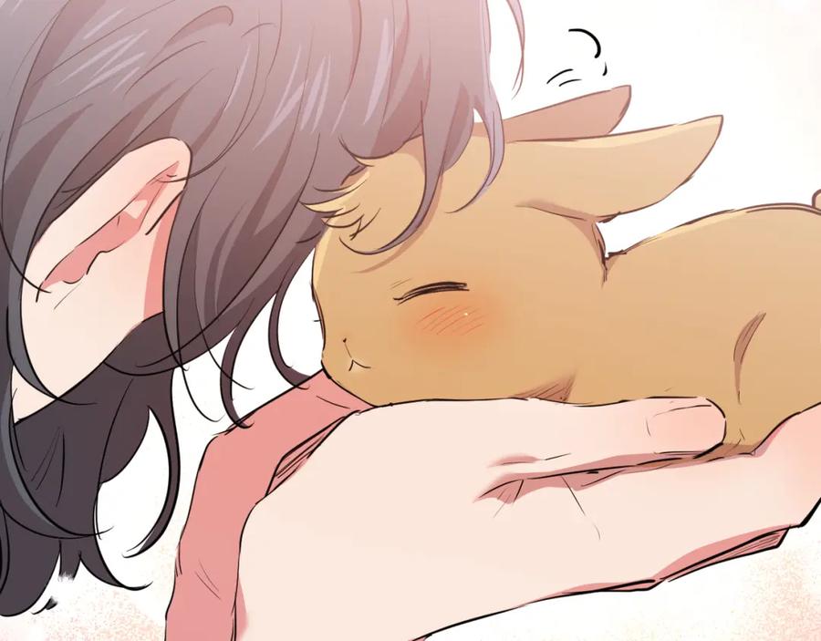 第204页