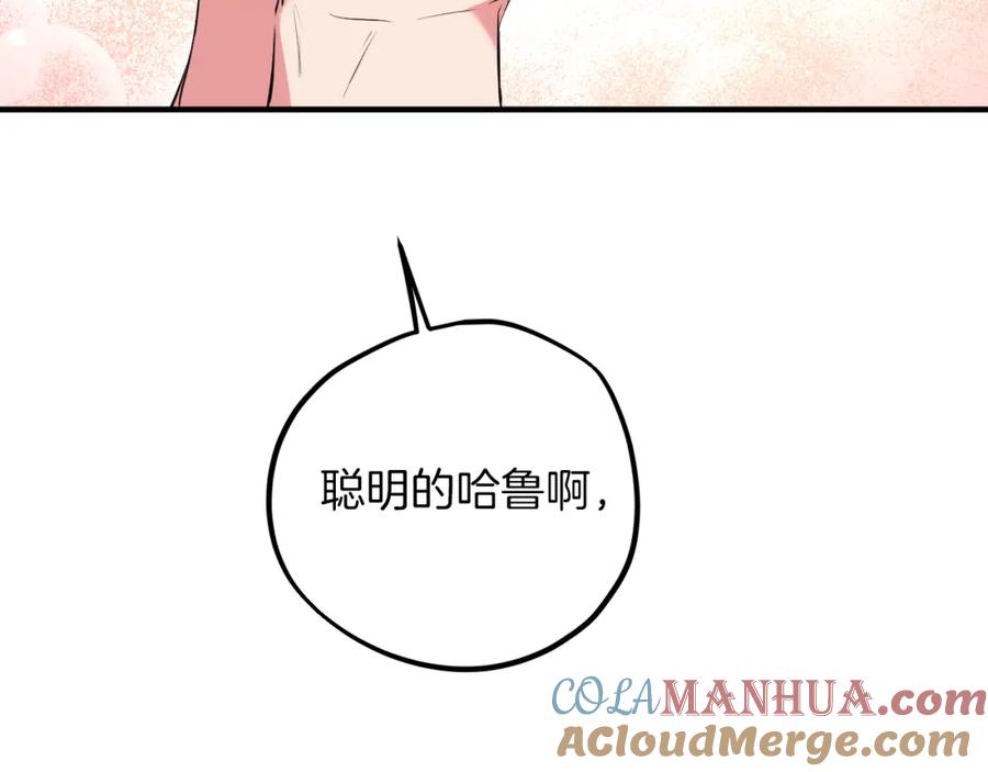 第205页