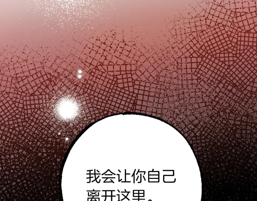 第243页