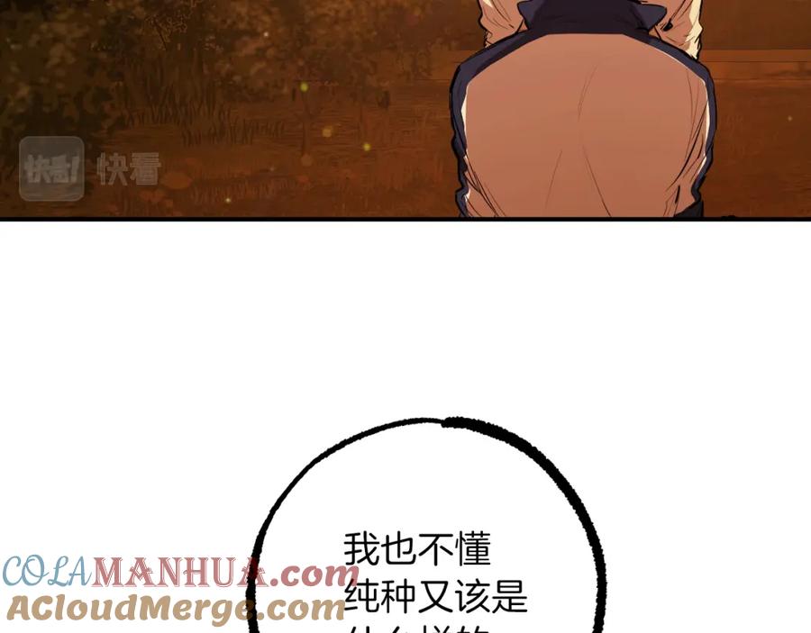 第185页