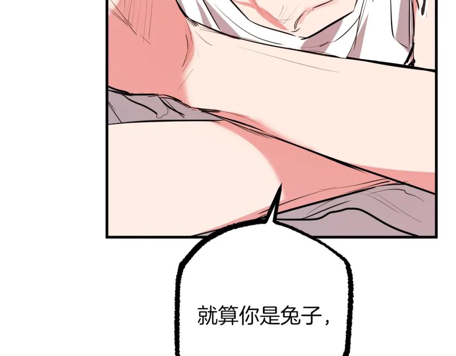第215页