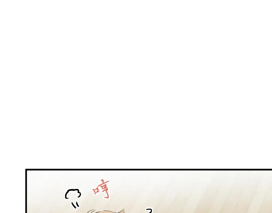 第243页