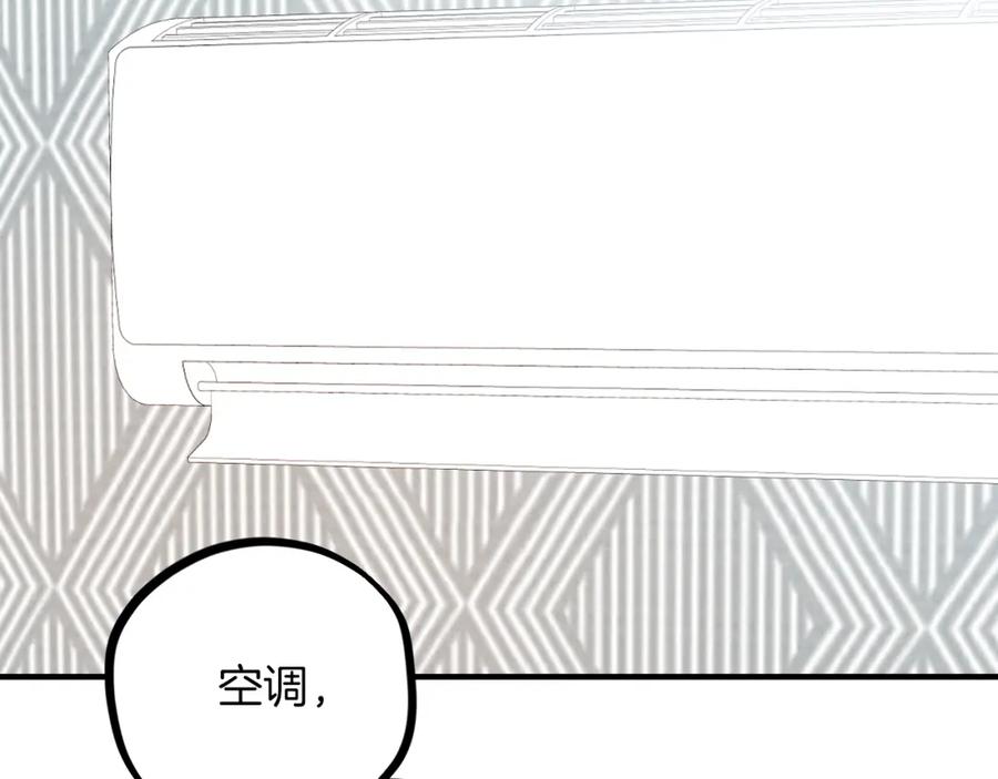 第279页