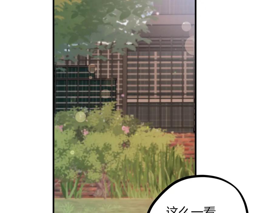 第282页