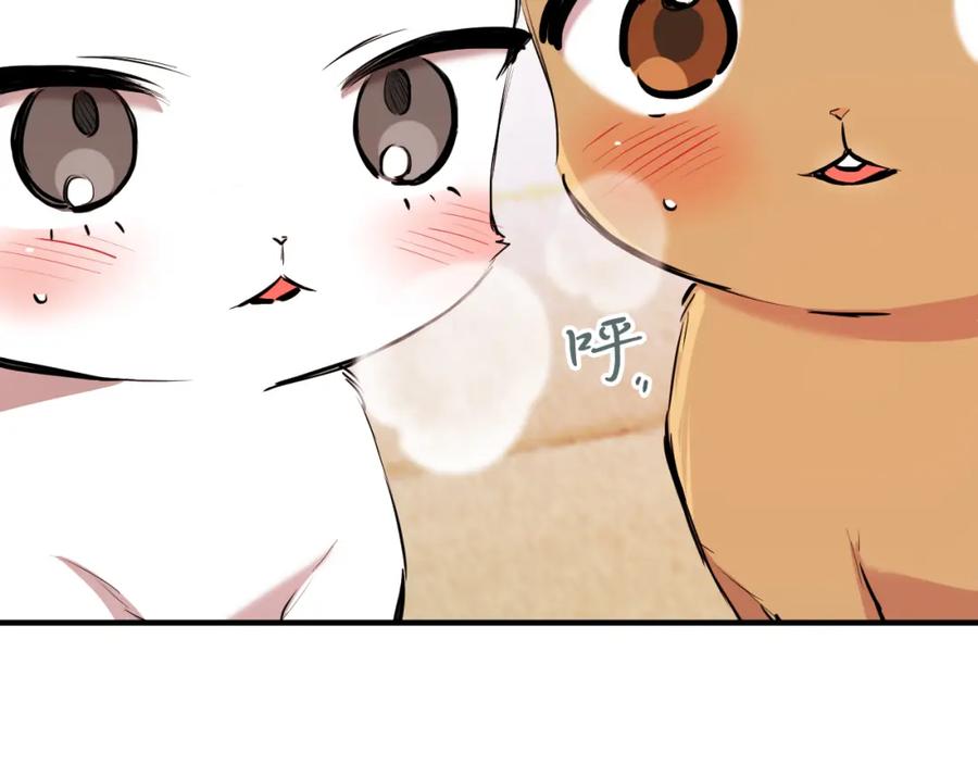 第290页