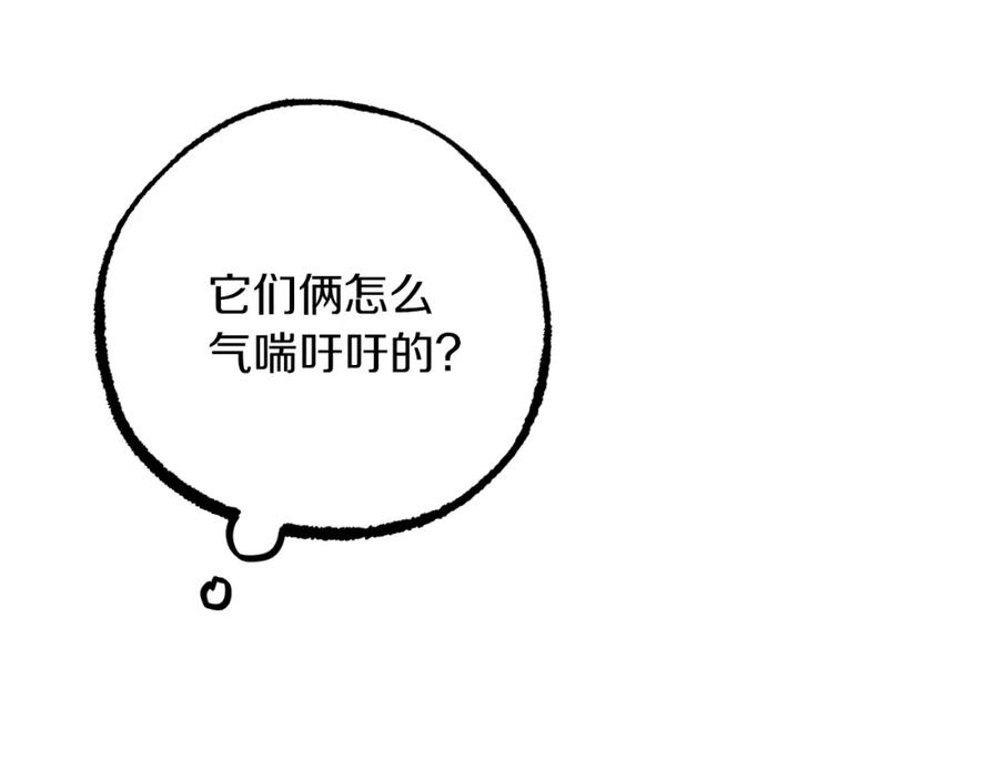 第291页