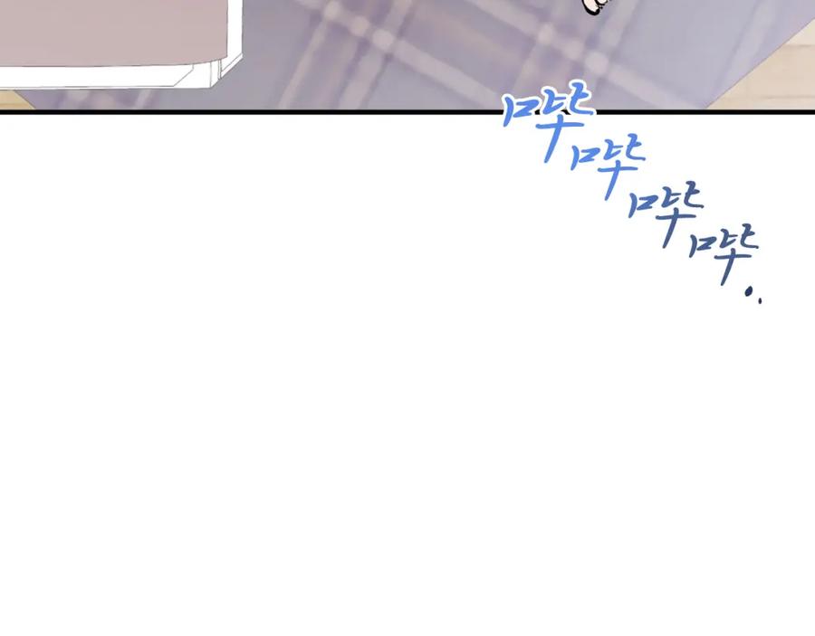 第224页