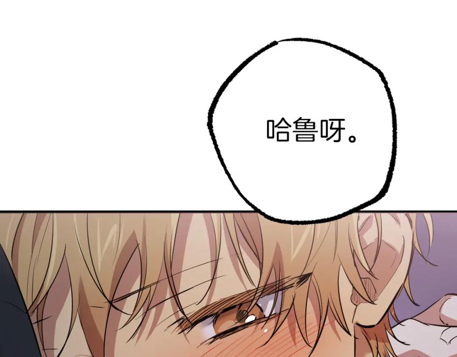第204页