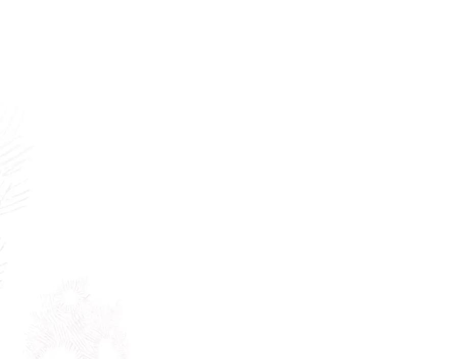 第222页