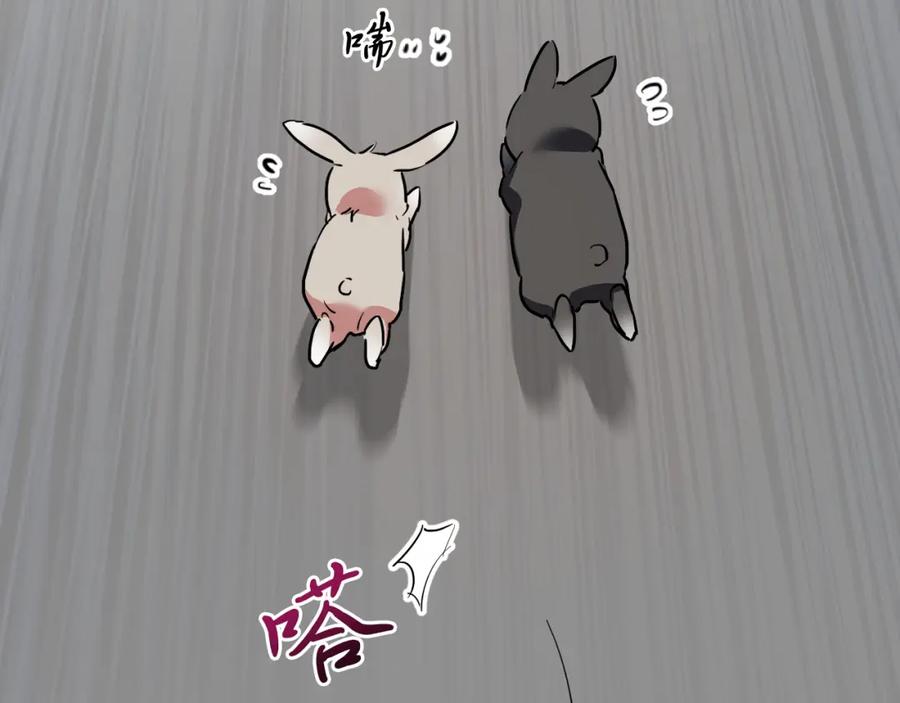 第206页