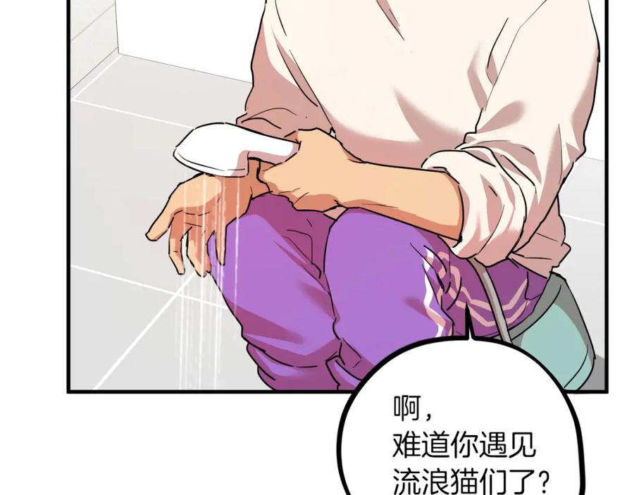 第222页