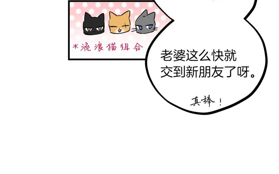 第223页