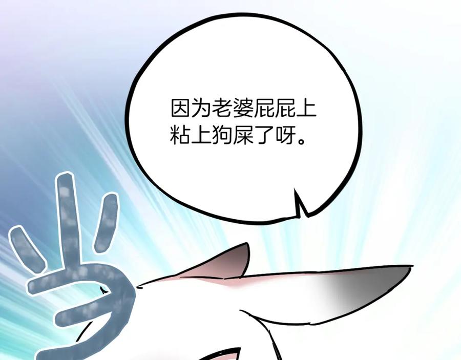 第235页