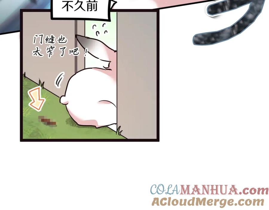 第237页
