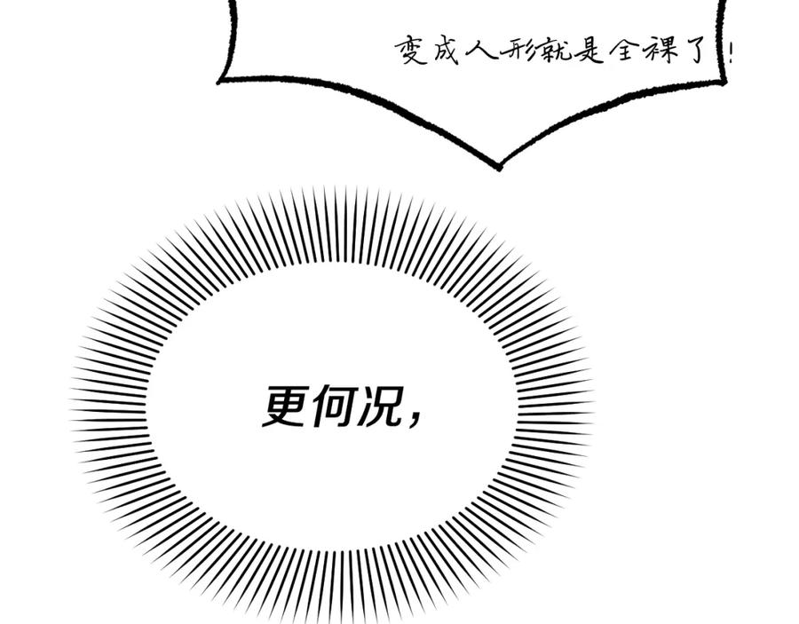 第242页