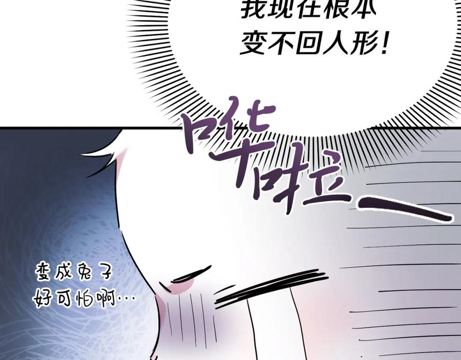 第244页