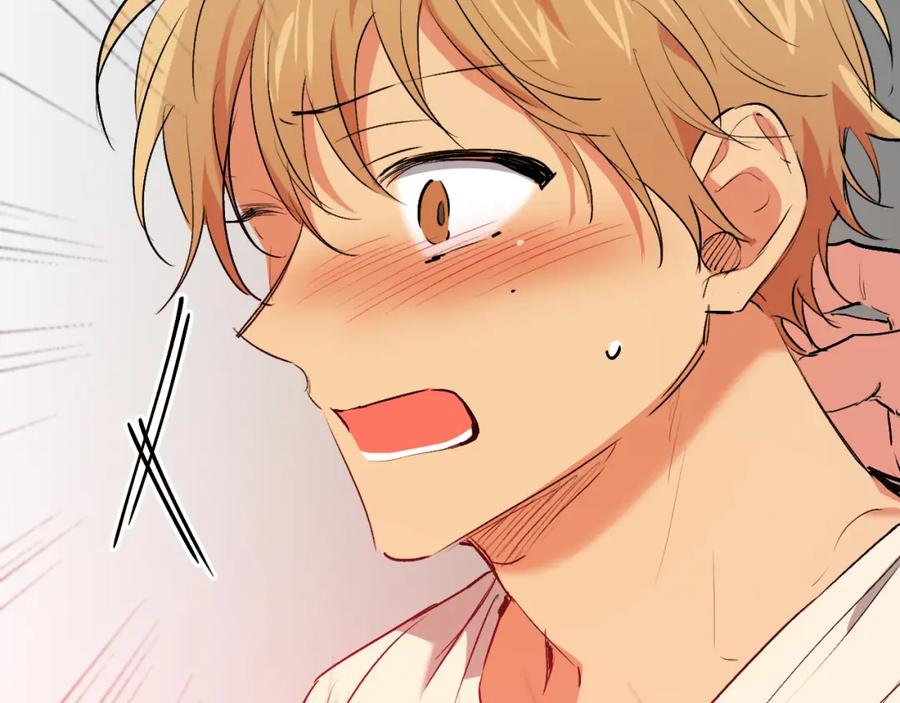 第215页