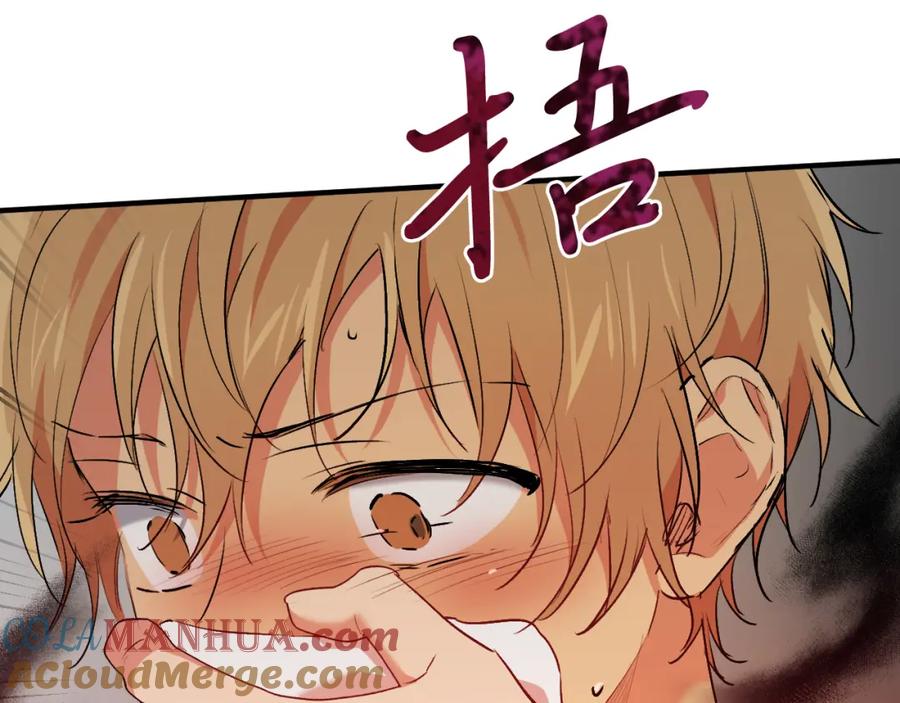 第217页